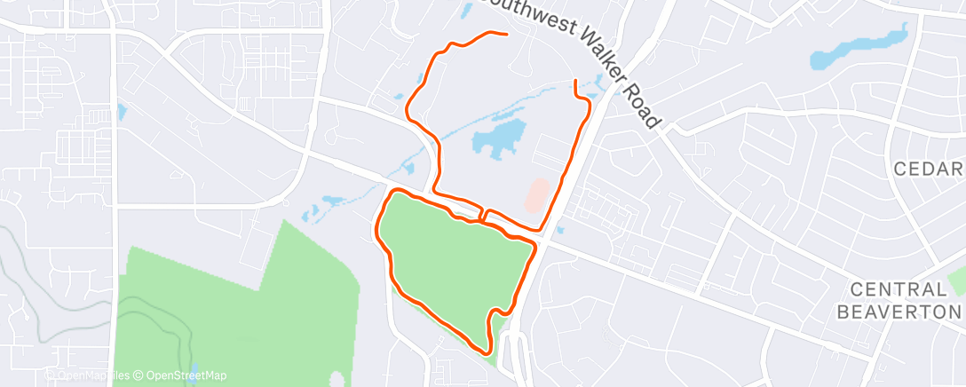 Map of the activity, Cold and wet dogs