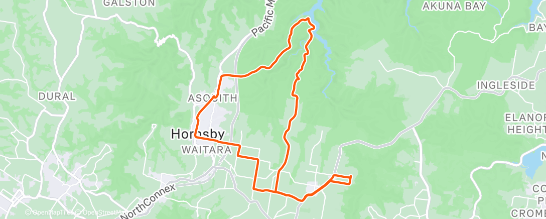 Map of the activity, Bobbo steady state