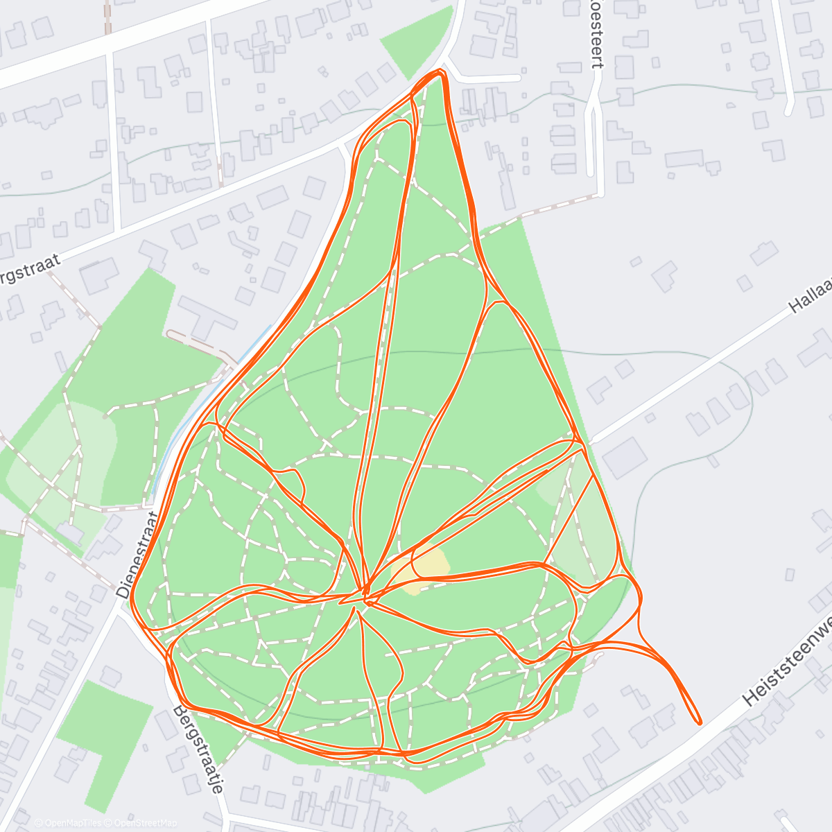 Карта физической активности (Dijleslef beizelberg plat knallen)