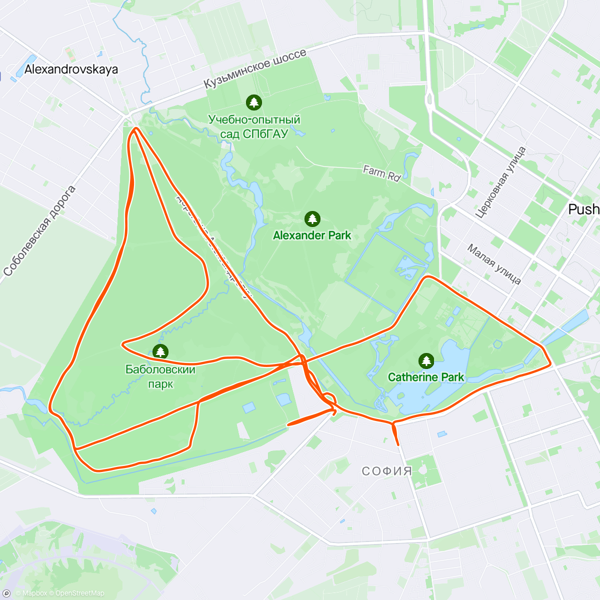 Map of the activity, Побегали с сыном в Екатерининском парке.