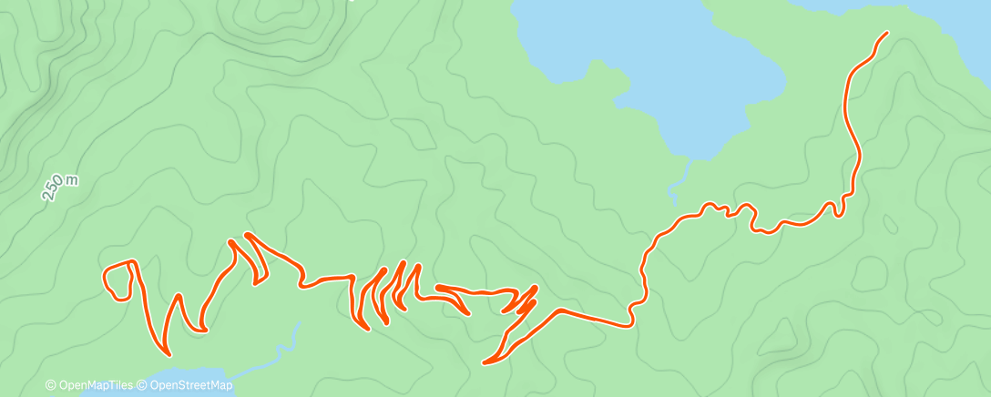 Карта физической активности (Zwift - Road to Sky in Watopia)