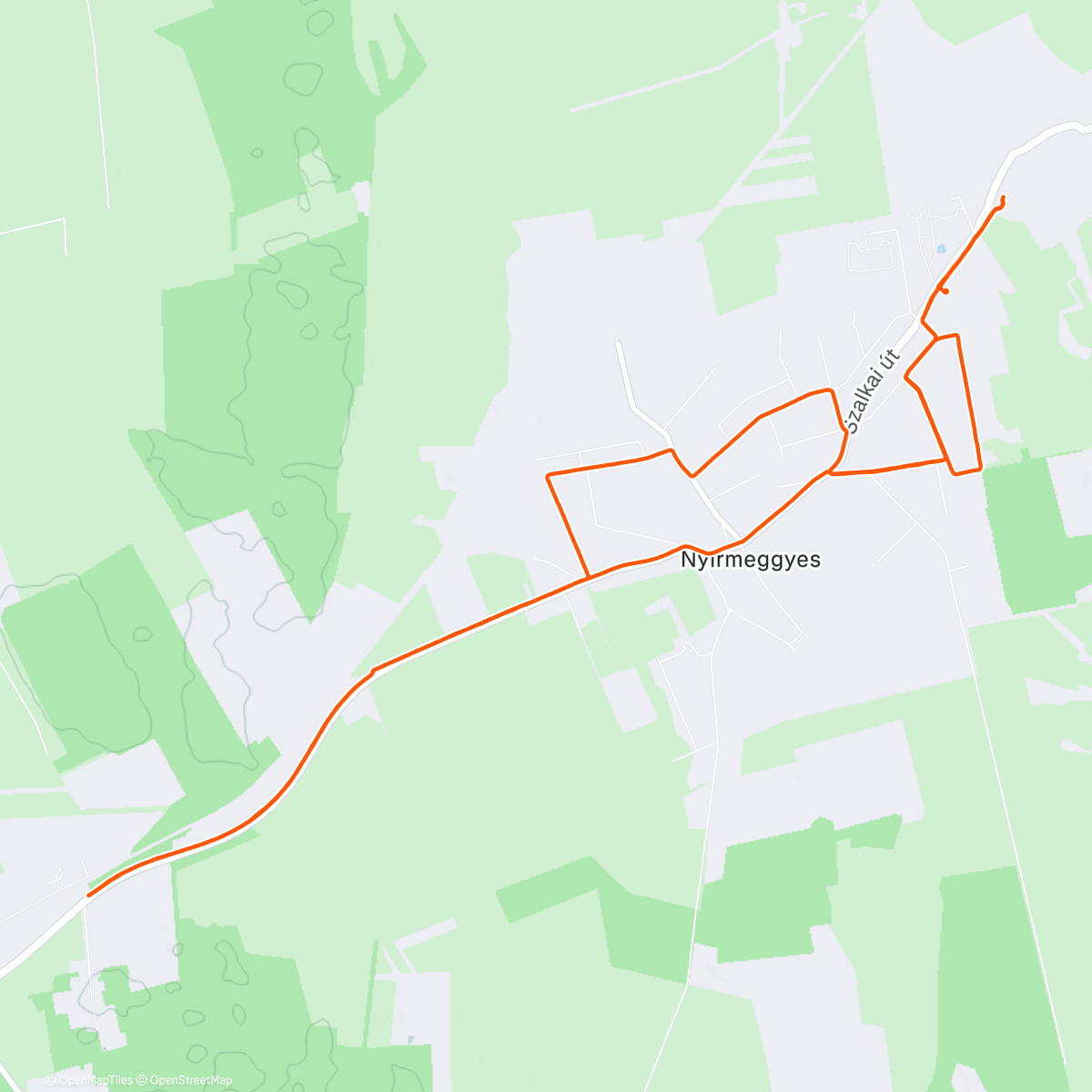 Map of the activity, Afternoon Run