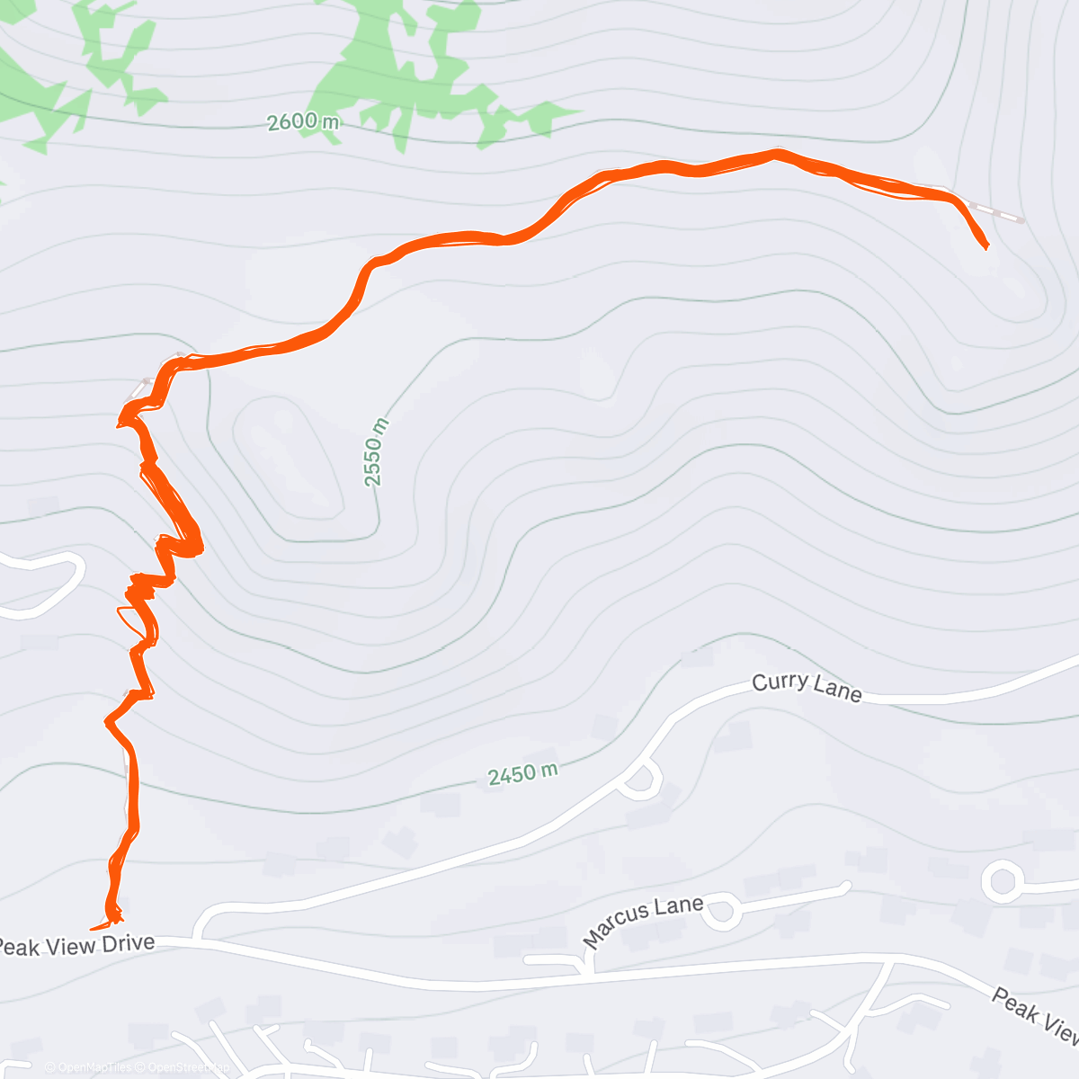 Map of the activity, Morning Trail Run