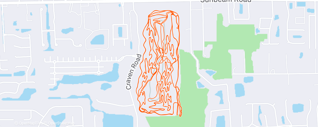 Карта физической активности (Xmas Day on the Supercal)