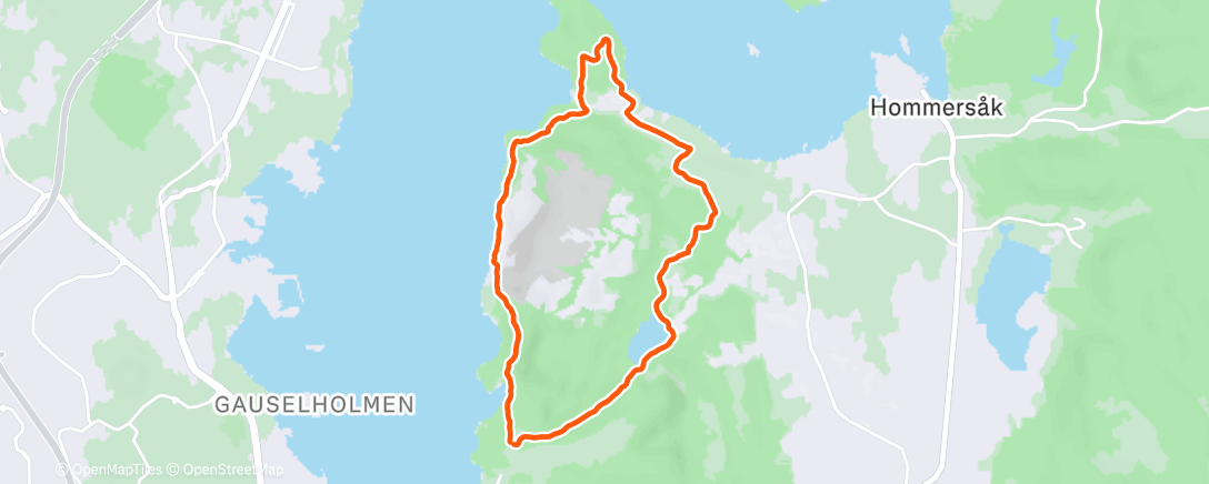 Карта физической активности (Afternoon Trail Run)