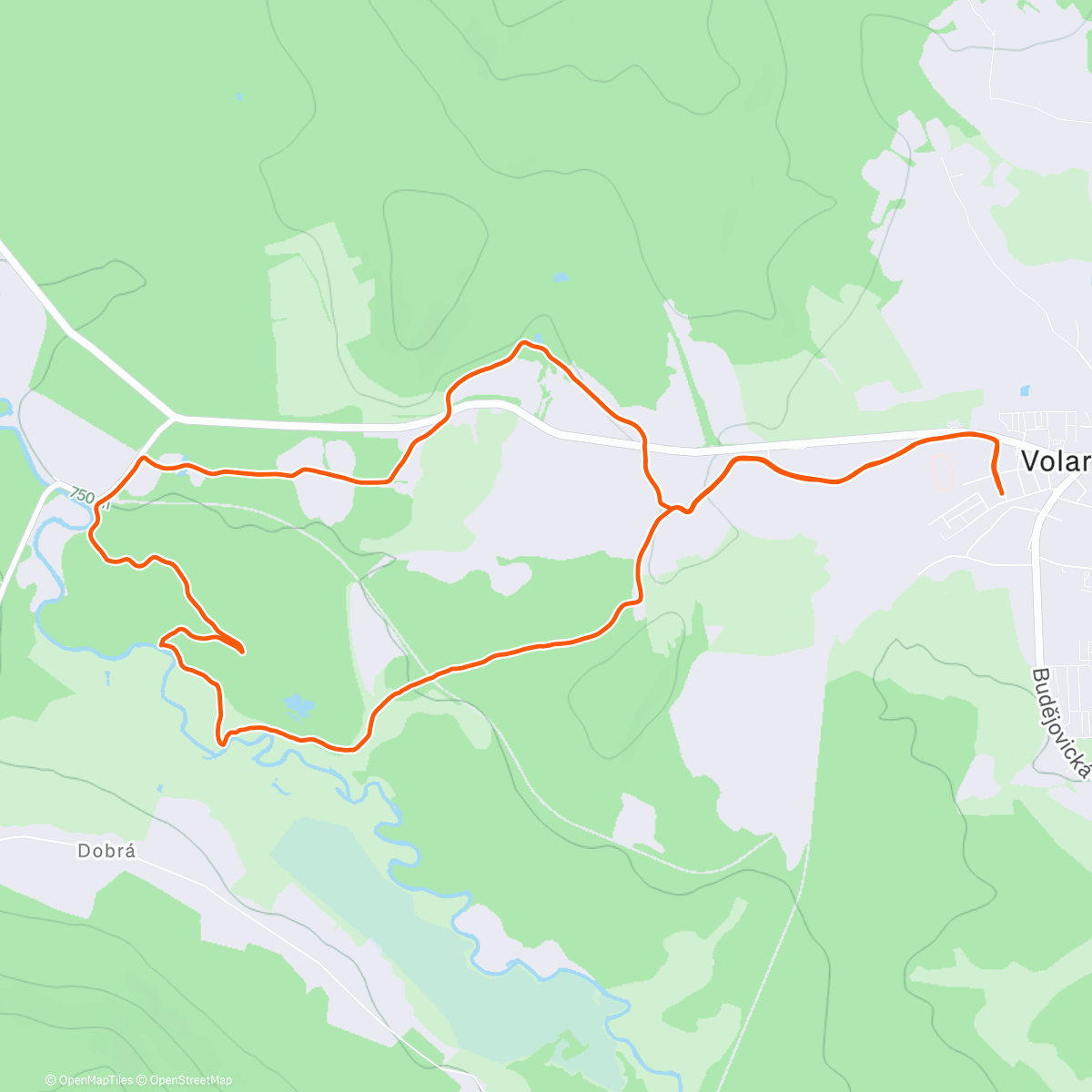 Map of the activity, Lunch Walk