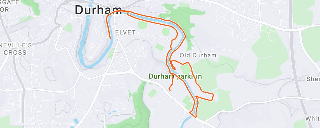 Карта физической активности (Morning Tempo)