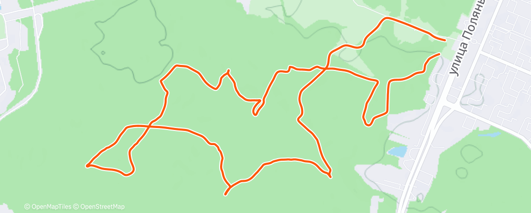 Карта физической активности (Трейлраннинг (день))