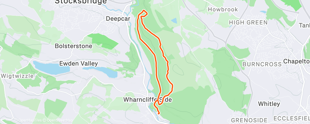 Карта физической активности (Zone 2 w/ Strides)