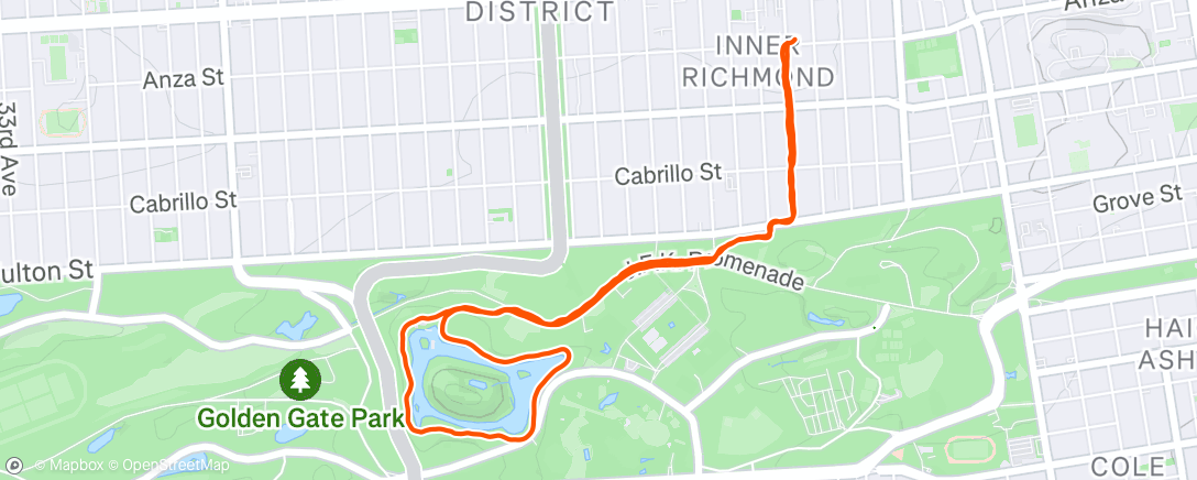 Map of the activity, Detox before the retox