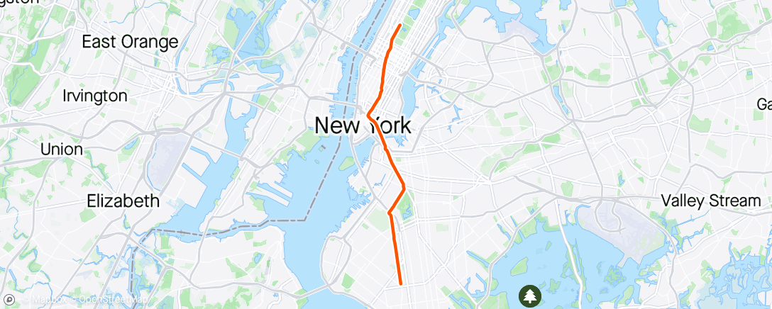 Mapa de la actividad, Afternoon Run (Virtual Brooklyn Half)