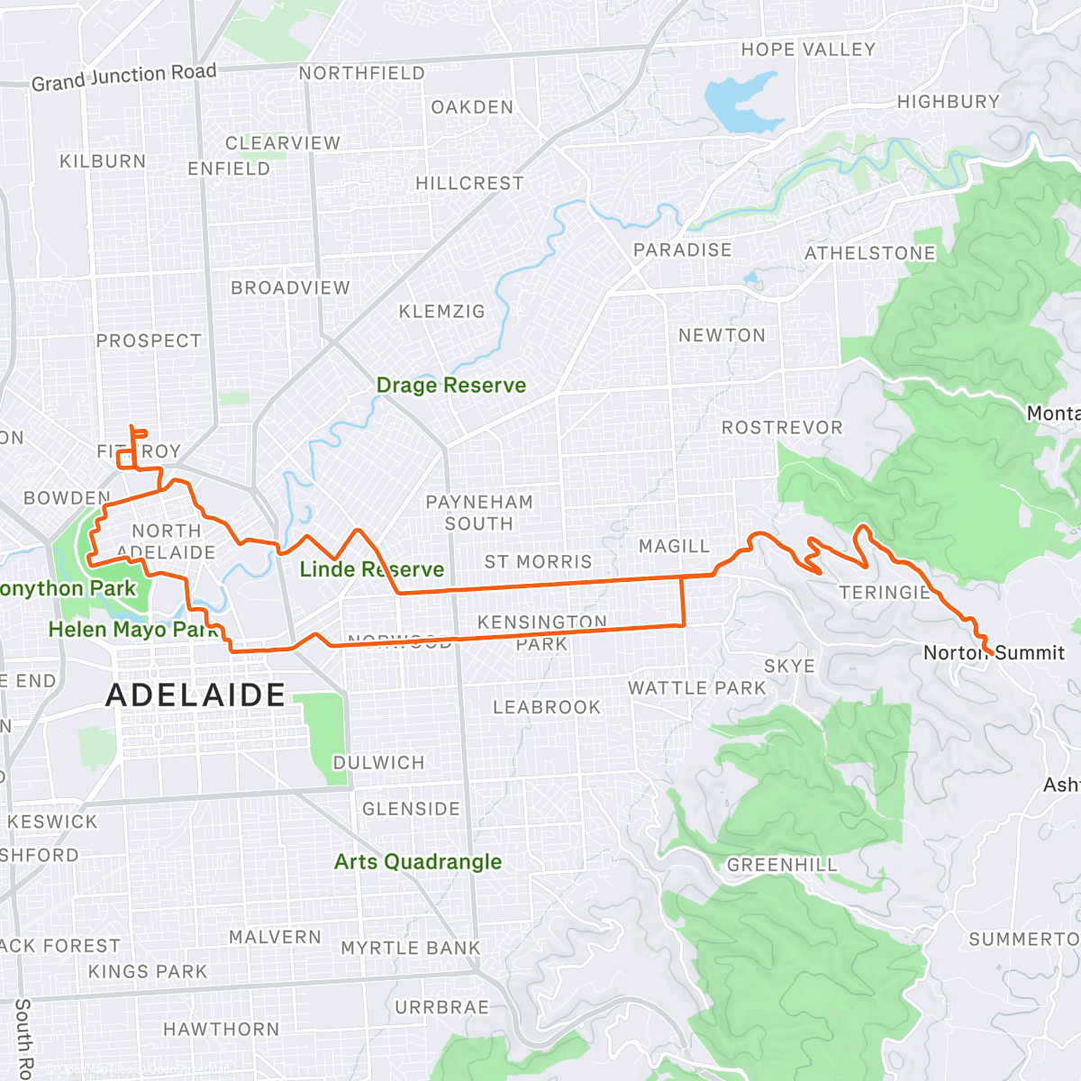 Map of the activity, Birds of Prey