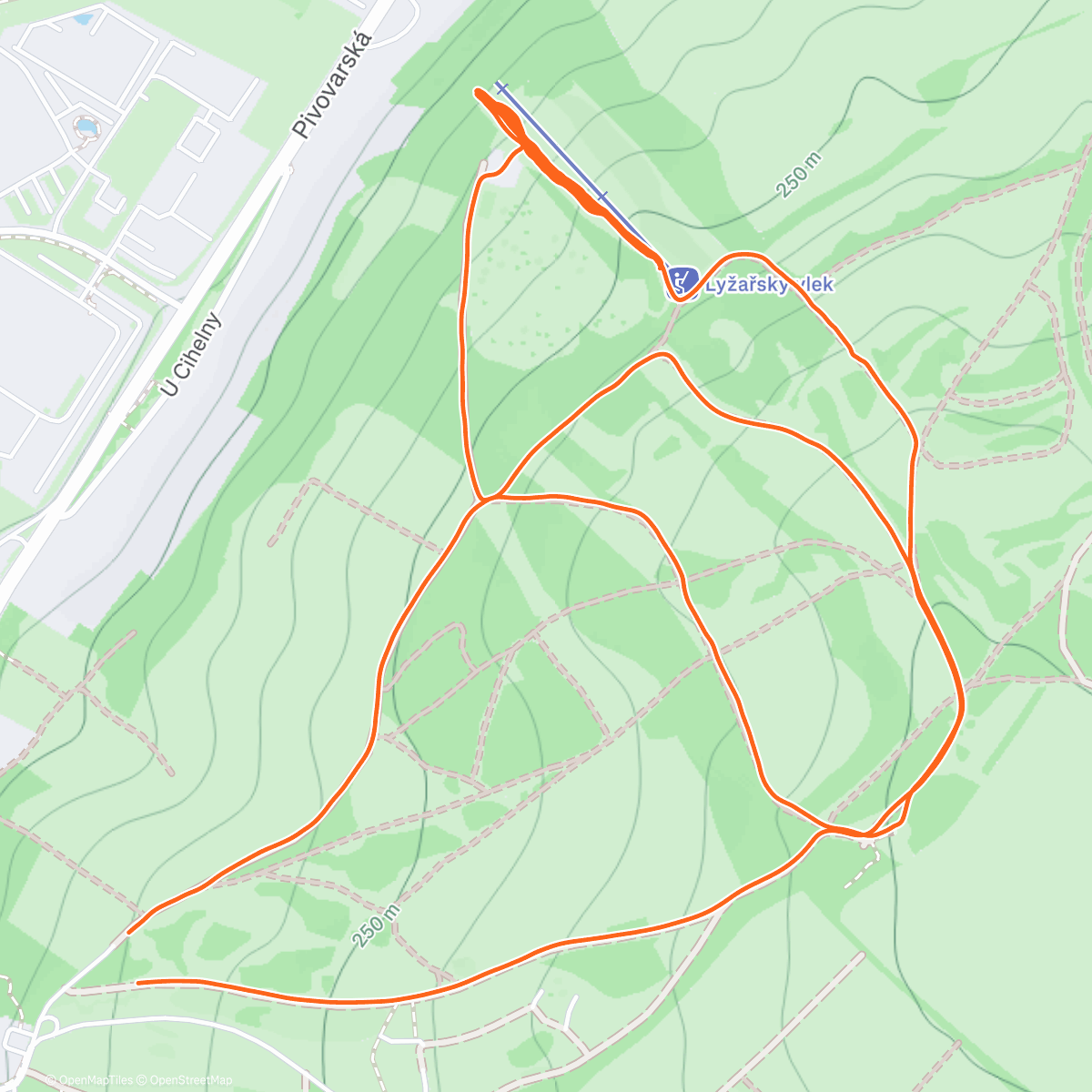 Map of the activity, Morning Trail Run