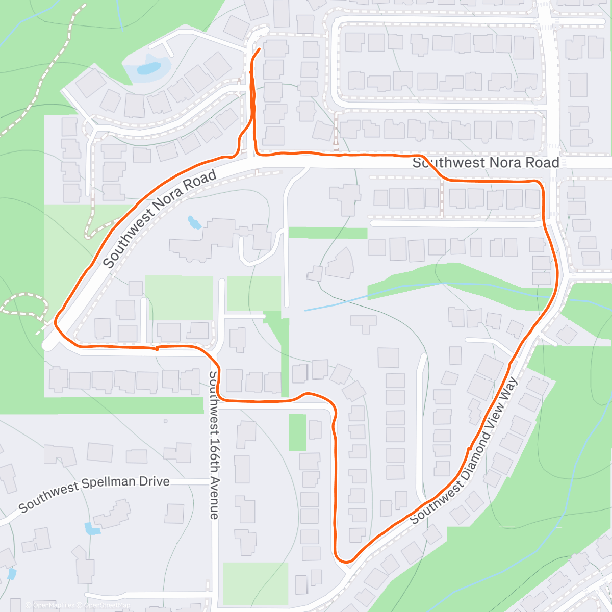 Карта физической активности (Afternoon Walk)