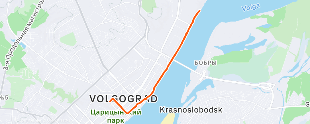 Map of the activity, Утренний забег