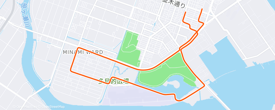 Карта физической активности (ラン納め)