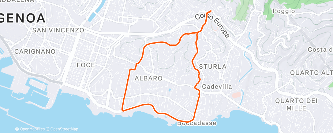 Карта физической активности (Corsa mattutina)