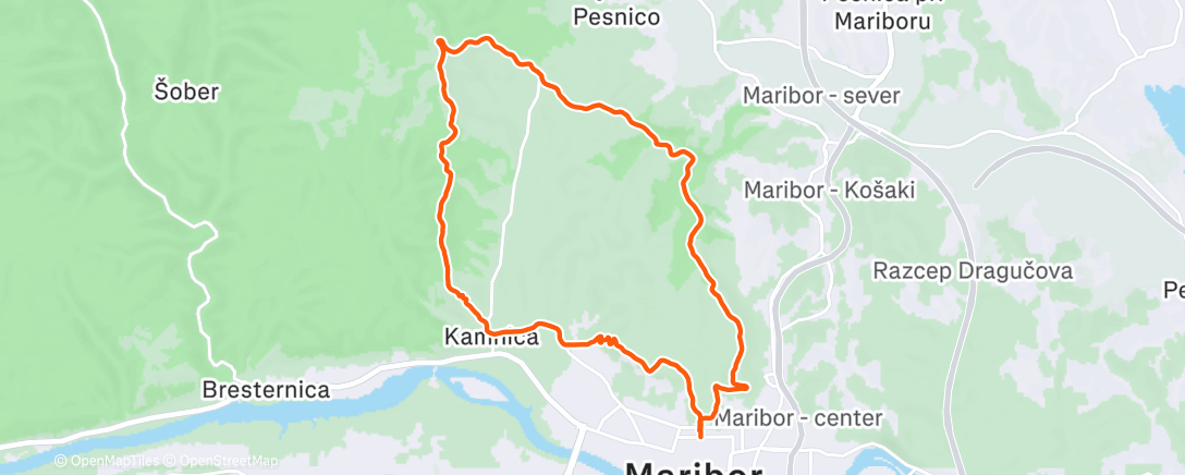 Карта физической активности (Morning Trail Run)