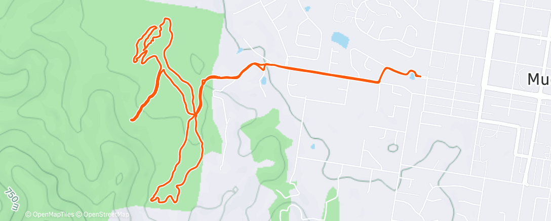 Map of the activity, Social ride