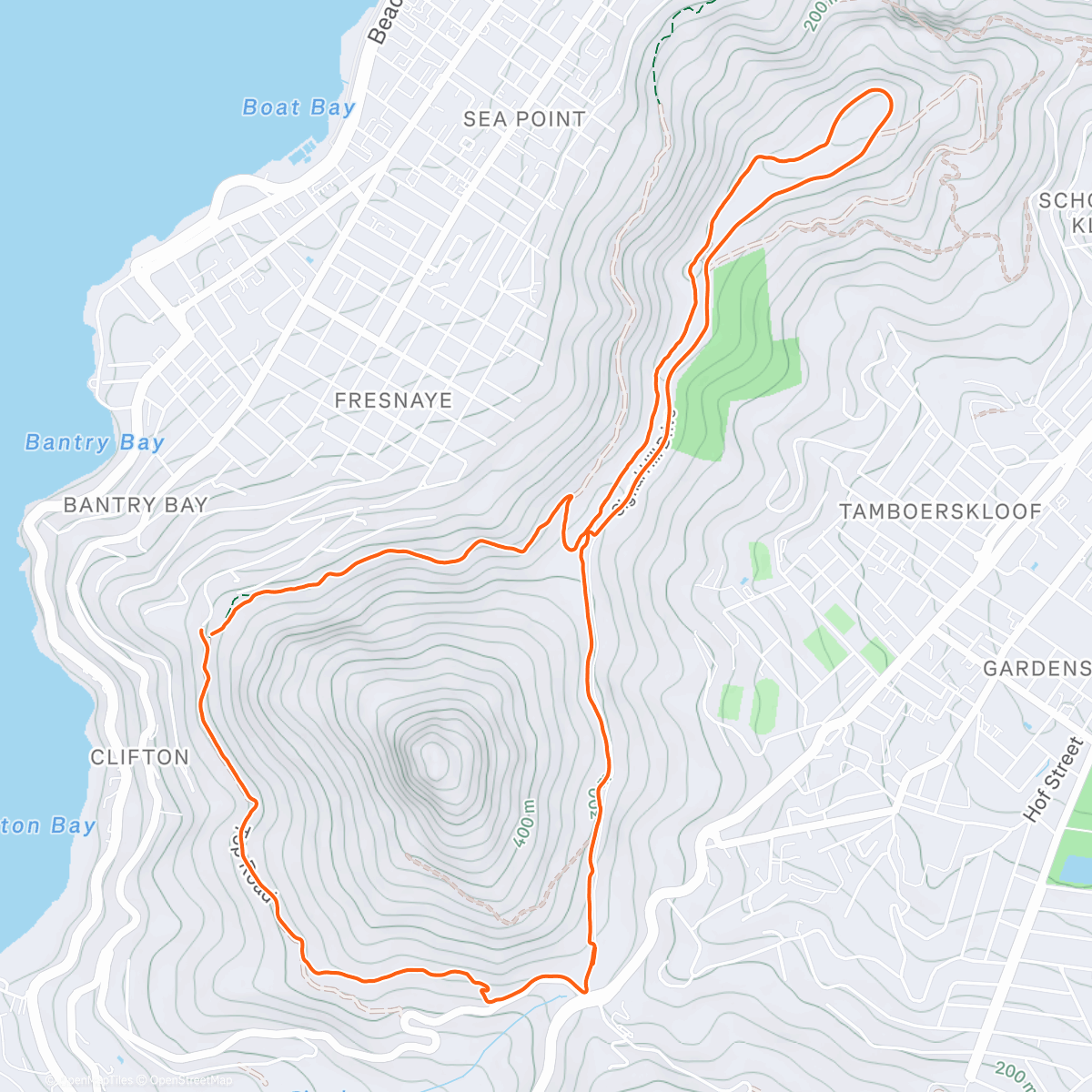 Карта физической активности (There’s a fucking pigeon in my flat)