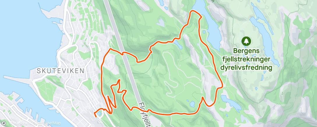 Map of the activity, Morning Trail Run