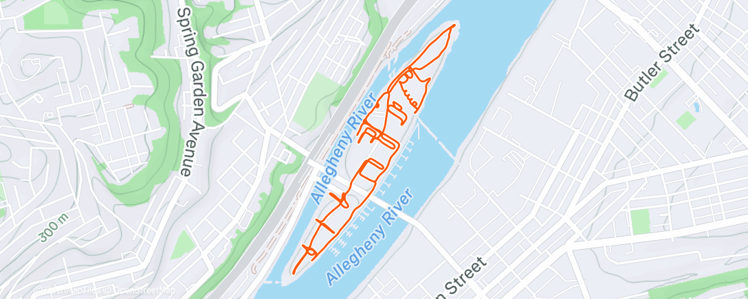 Map of the activity, Afternoon Ride