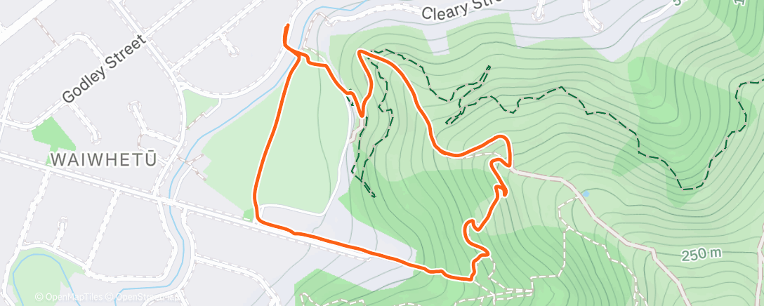 Карта физической активности (Changeling)