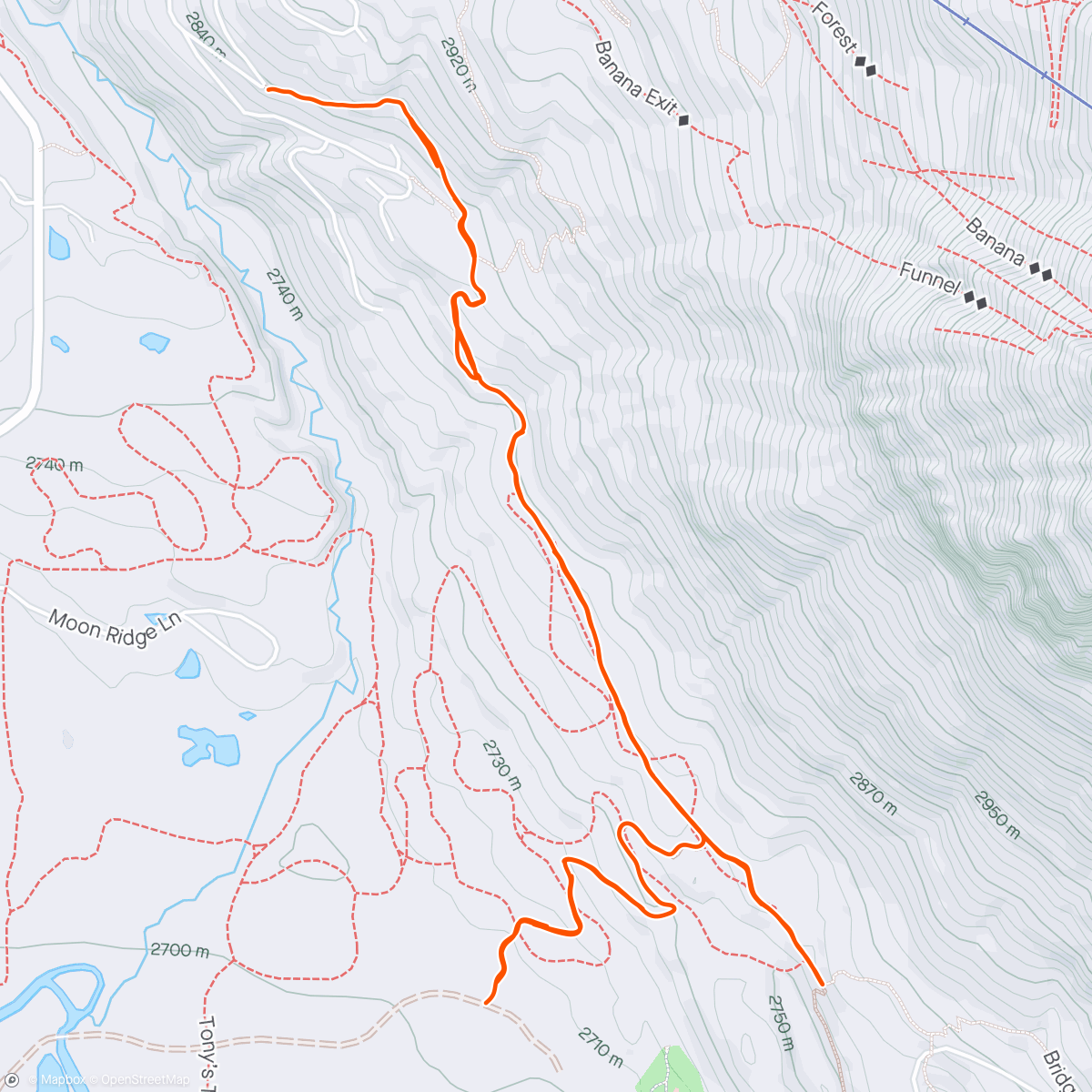 Mapa de la actividad, Afternoon Trail Run