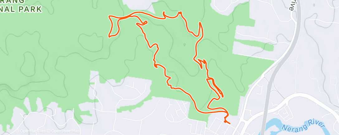 Mappa dell'attività 🌲 + Strides