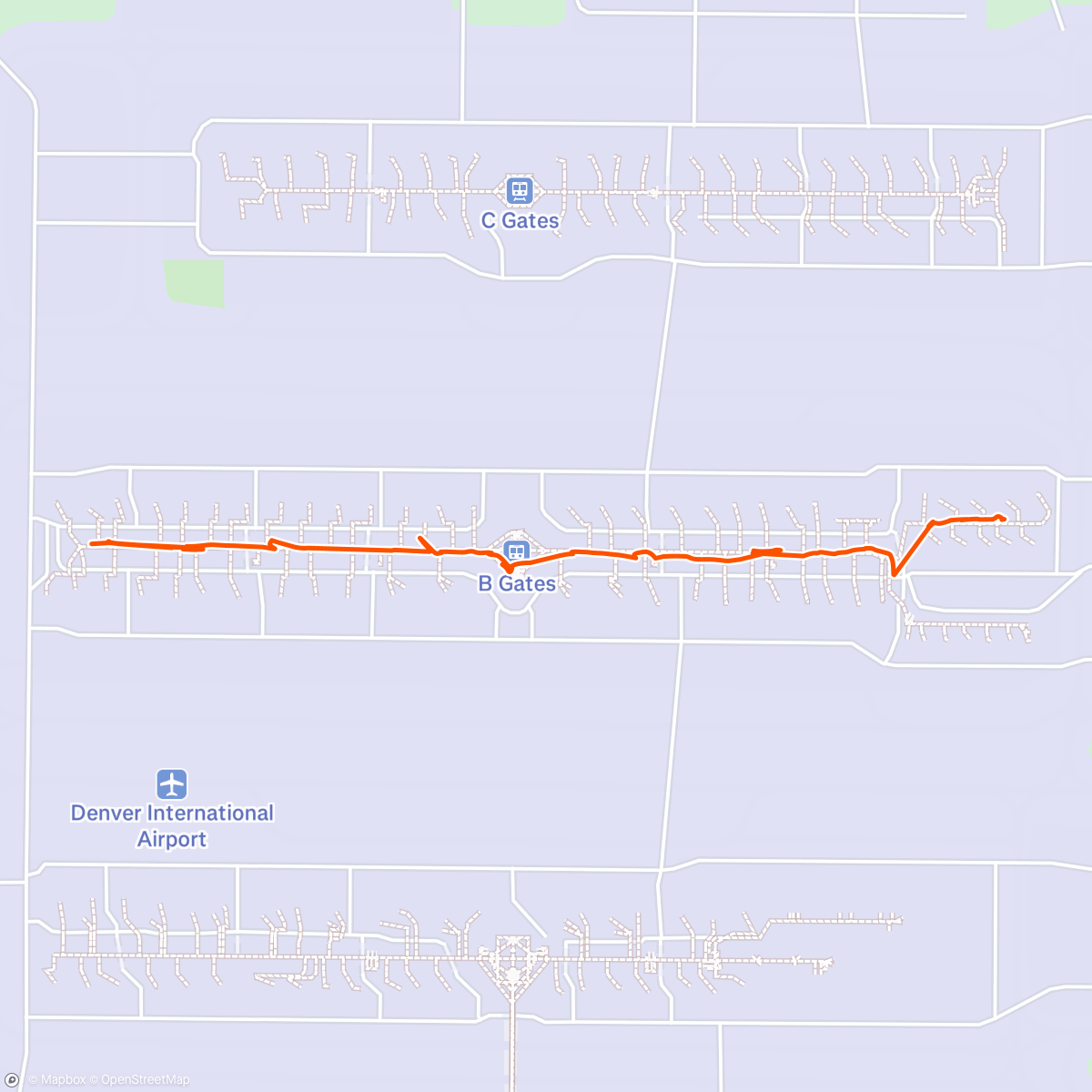 Map of the activity, DEN