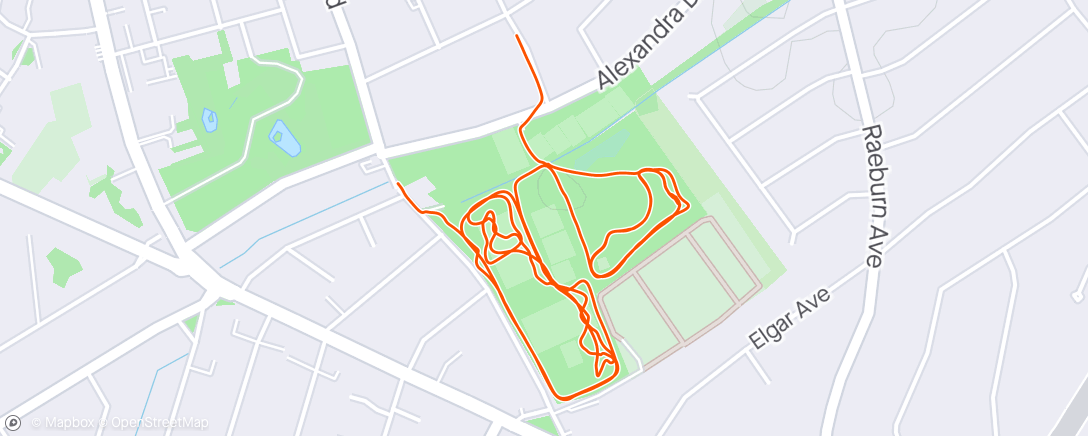 Map of the activity, Morning 🐕