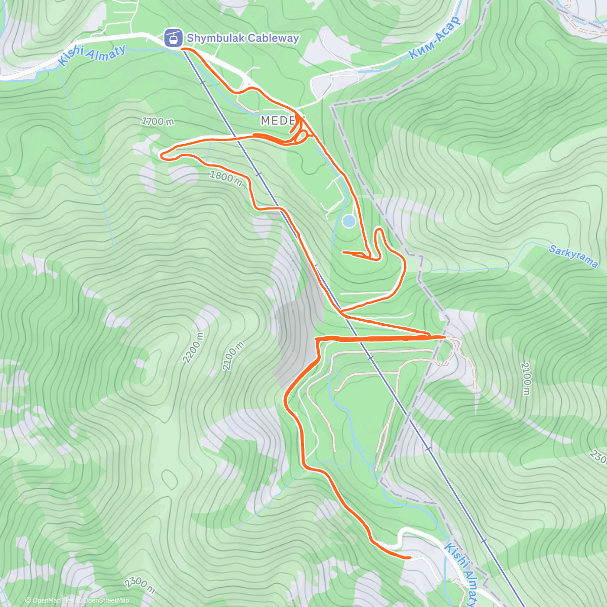 Карта физической активности (Утренний забег)
