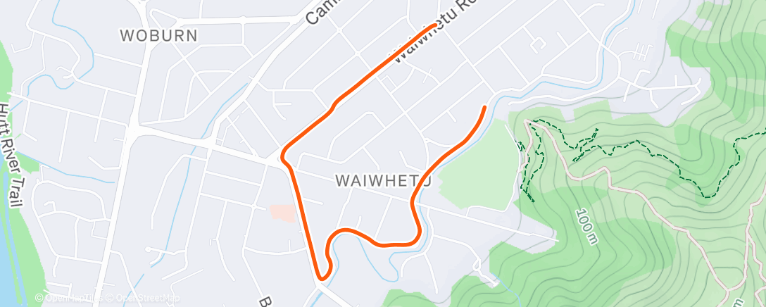 Карта физической активности (Afternoon Walk)