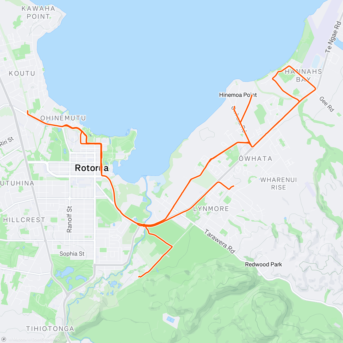 Map of the activity, Coach Duties