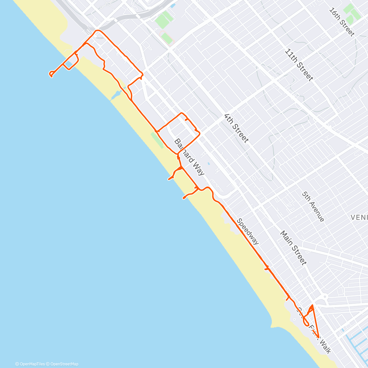 Карта физической активности (Venice beach)