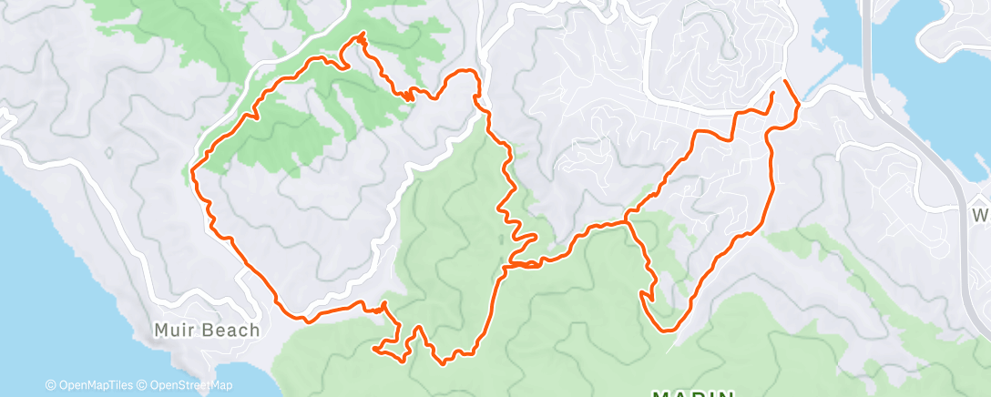 Карта физической активности (Morning Run)