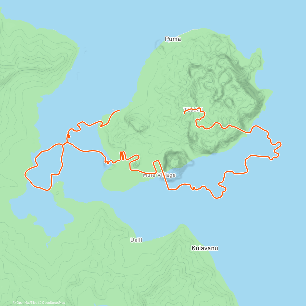 Карта физической активности (Zwift - Waisted 8 in Watopia - recovery)