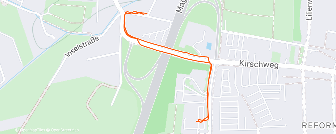 Карта физической активности (Spaziergang am Morgen)