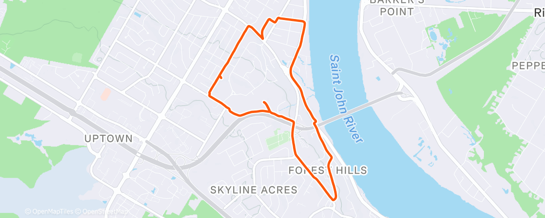 Mappa dell'attività Night Run