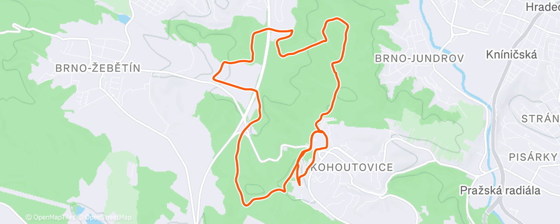 Карта физической активности (Morning Run)