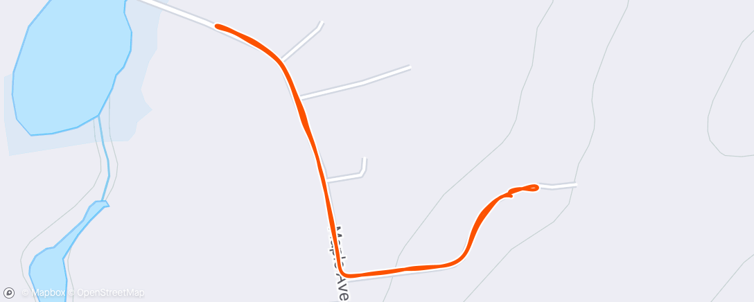 Map of the activity, Morning Run