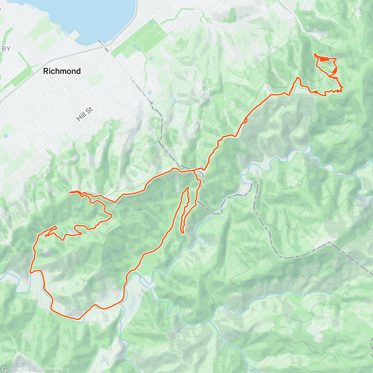 Карта физической активности (Morning Run)