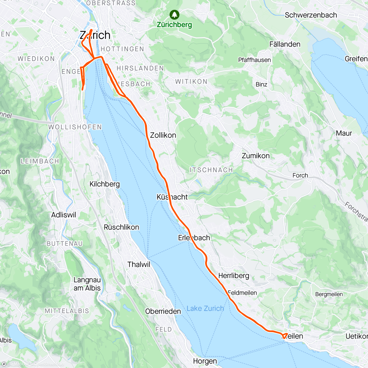 Mapa de la actividad, Zürich Marathon
