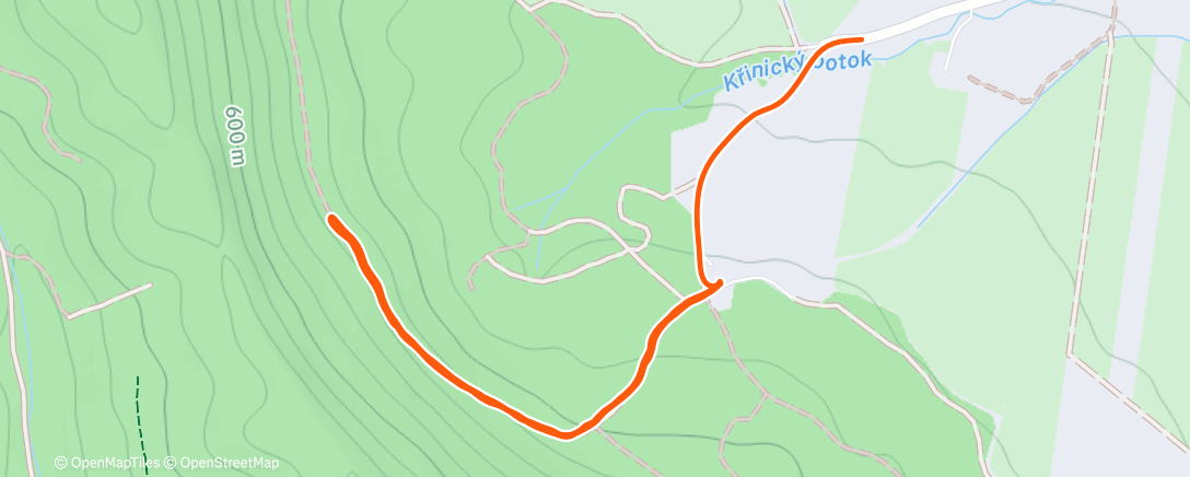 Карта физической активности (Morning Walk)