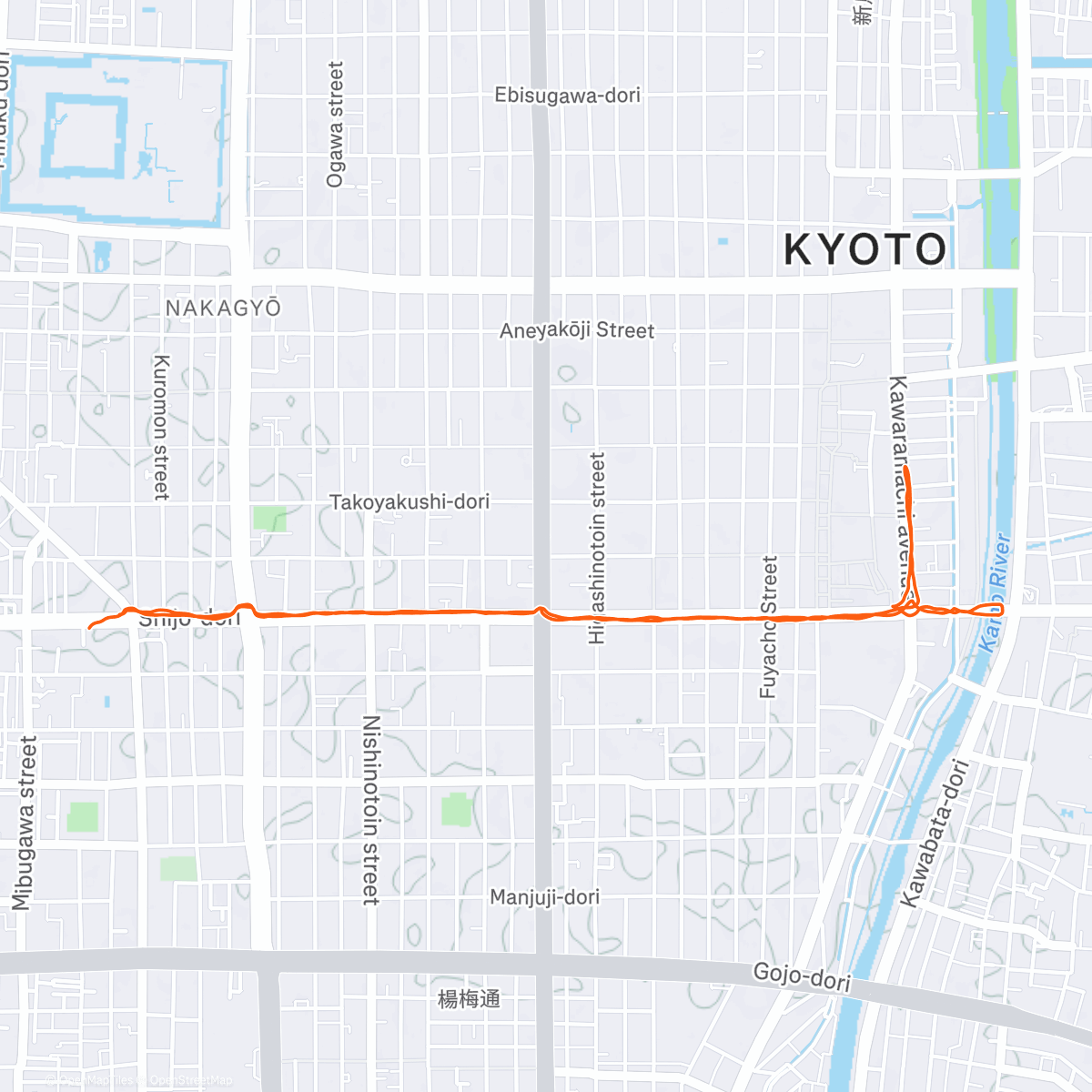 Map of the activity, 京都 recovery run