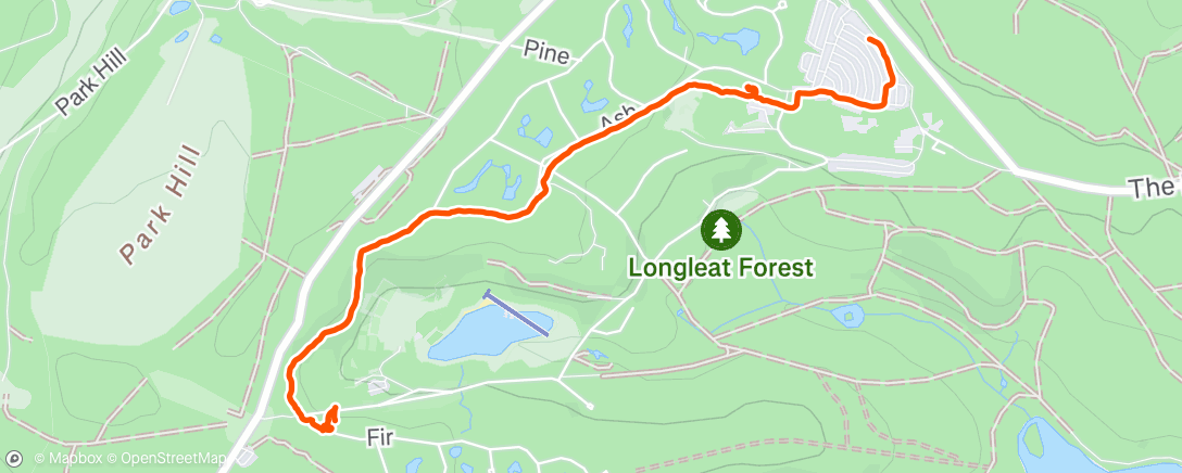 Map of the activity, Afternoon Walk