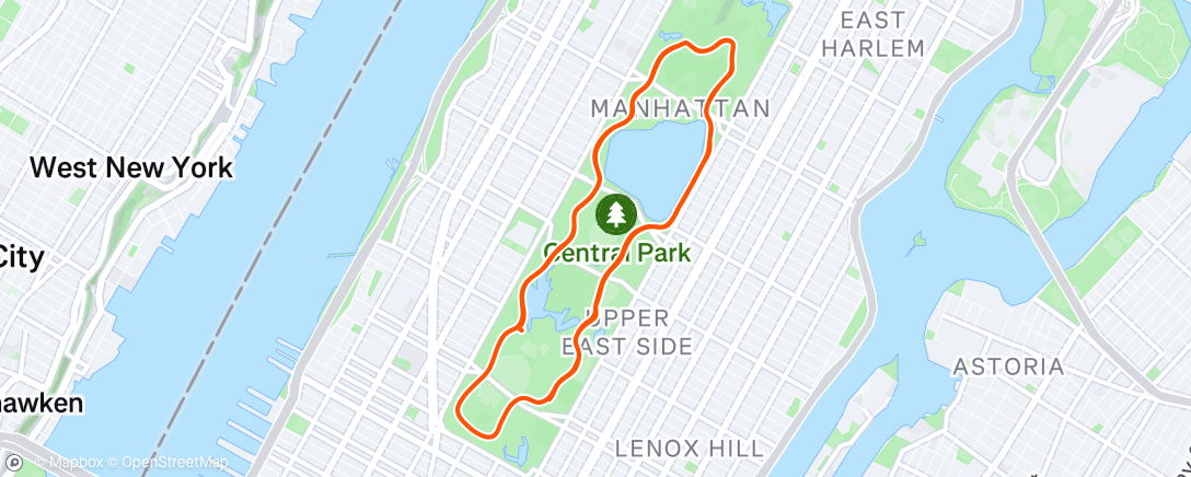 Map of the activity, Morning Run