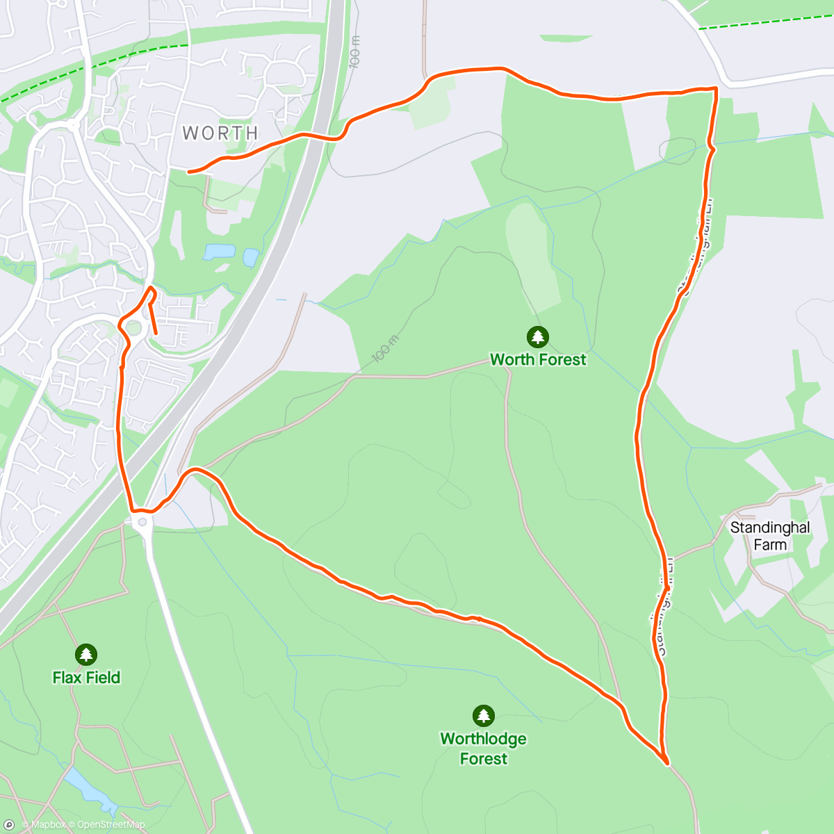 Карта физической активности (Walking off lunch in the woods with nick &yoshi)