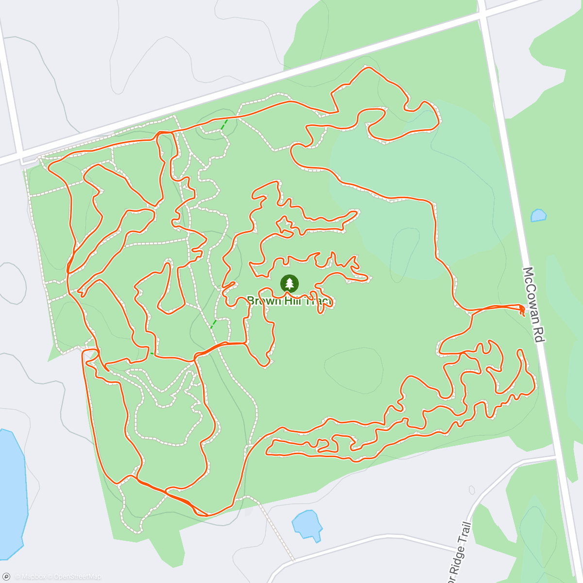 Map of the activity, Afternoon Ride