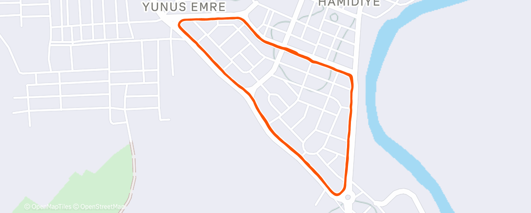 Карта физической активности (Morning Run)